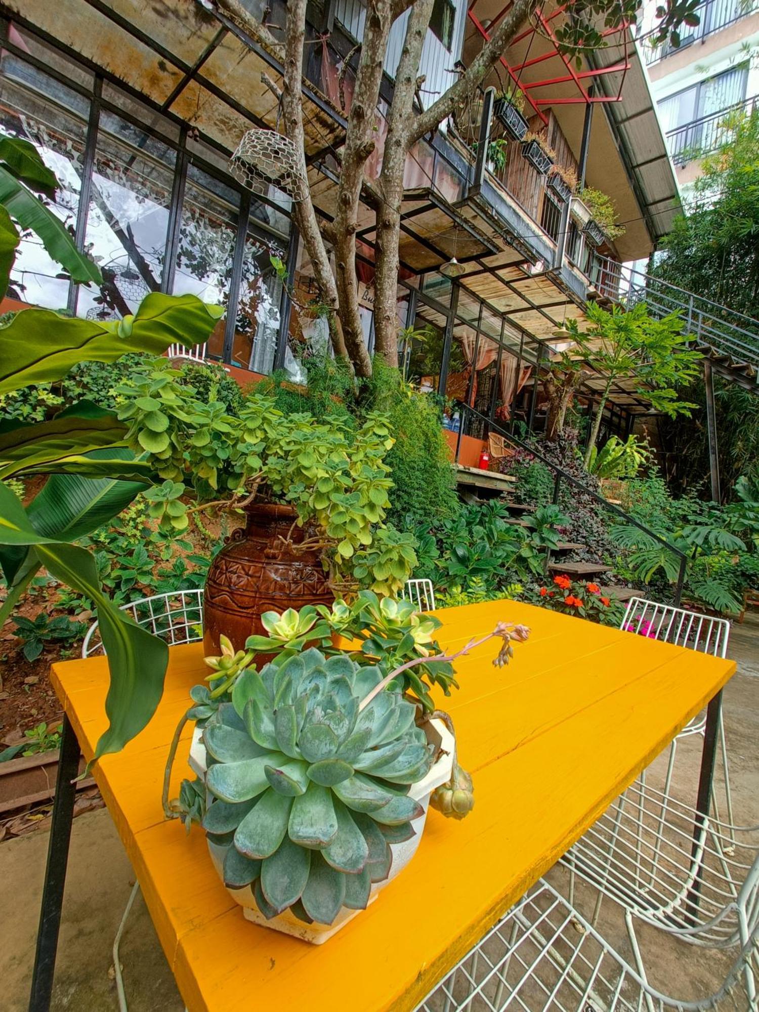Lalaland Homestay Đà Lạt Zimmer foto